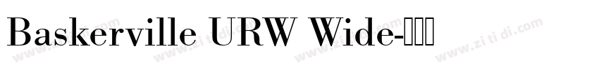 Baskerville URW Wide字体转换 Baskerville URW Wide字体转换